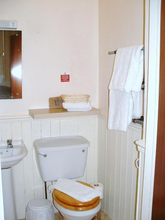 a bathroom with a toilet and a sink and towels at Lewinsdale Lodge in Weston-super-Mare