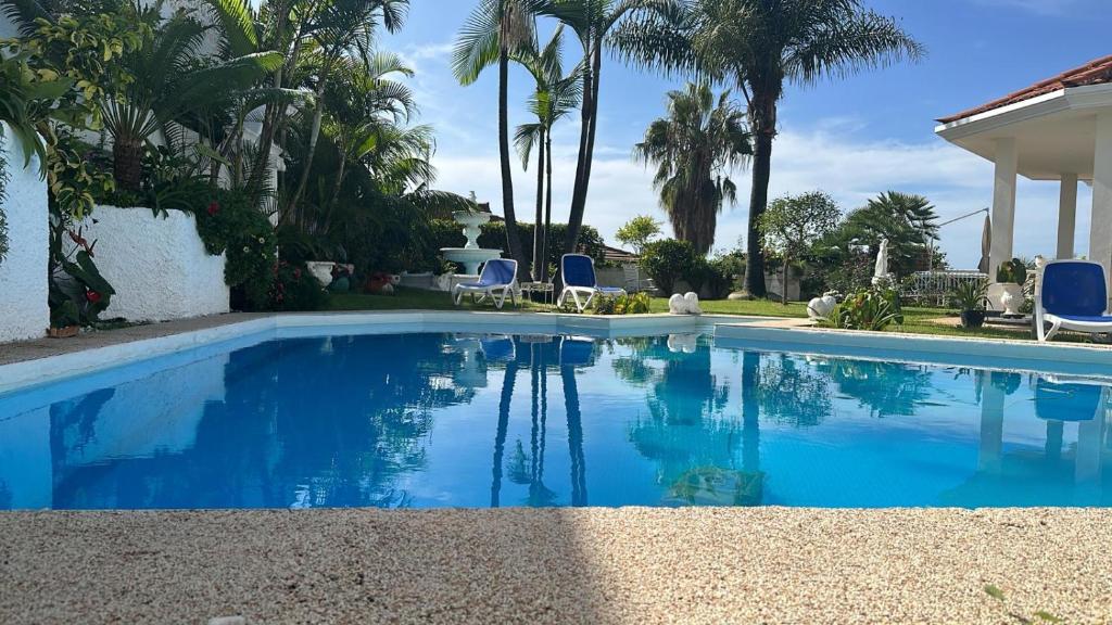 einen Pool mit blauen Stühlen und Palmen in der Unterkunft Luxury apartment in villa in La Orotava