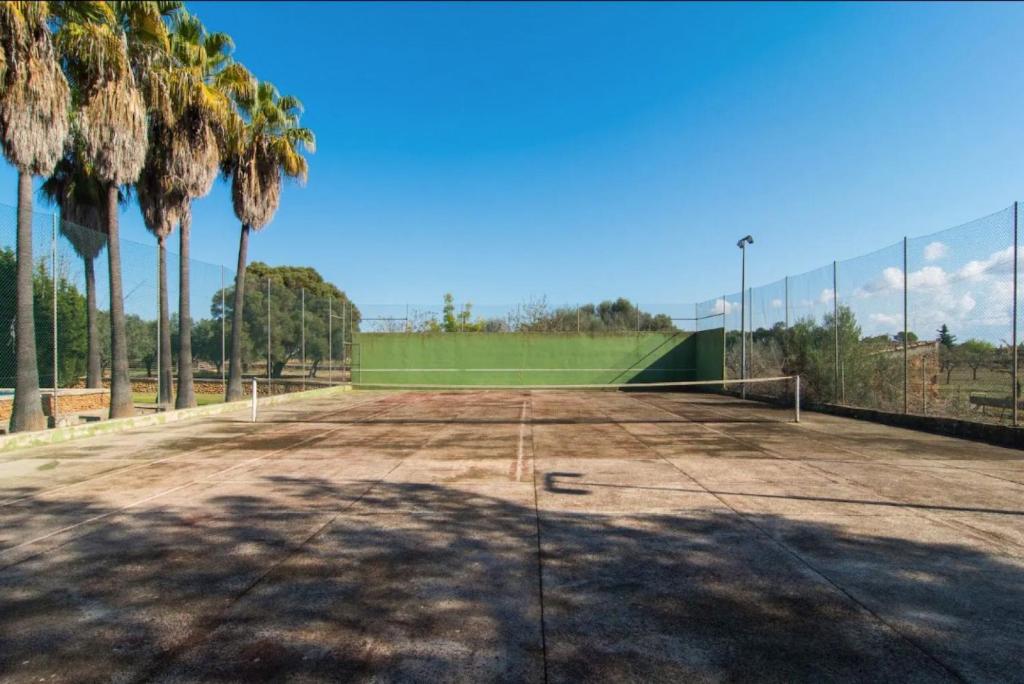 Tenis a/nebo squash v ubytování Tirasset nebo okolí