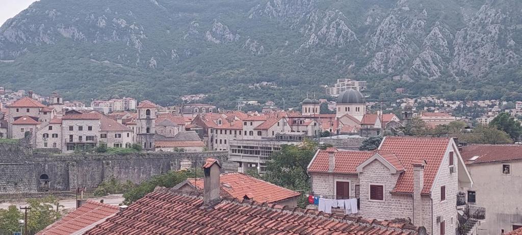 una ciudad con edificios y una montaña en el fondo en Apartment Cattaro magico, en Kotor