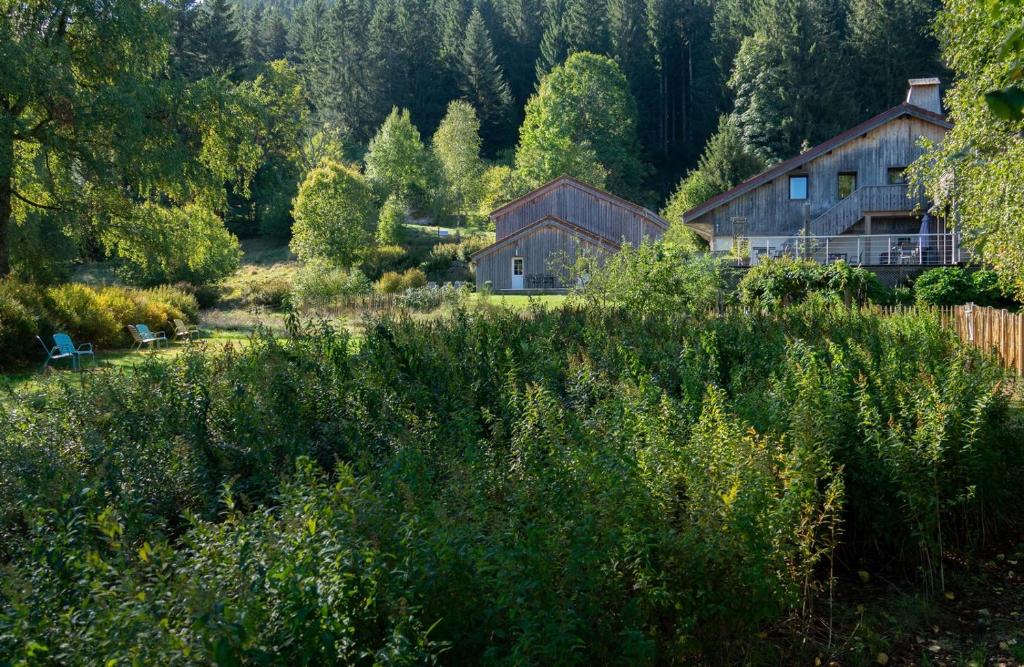 a house in the middle of a field with trees at Auberge De La Poulcière in Gérardmer