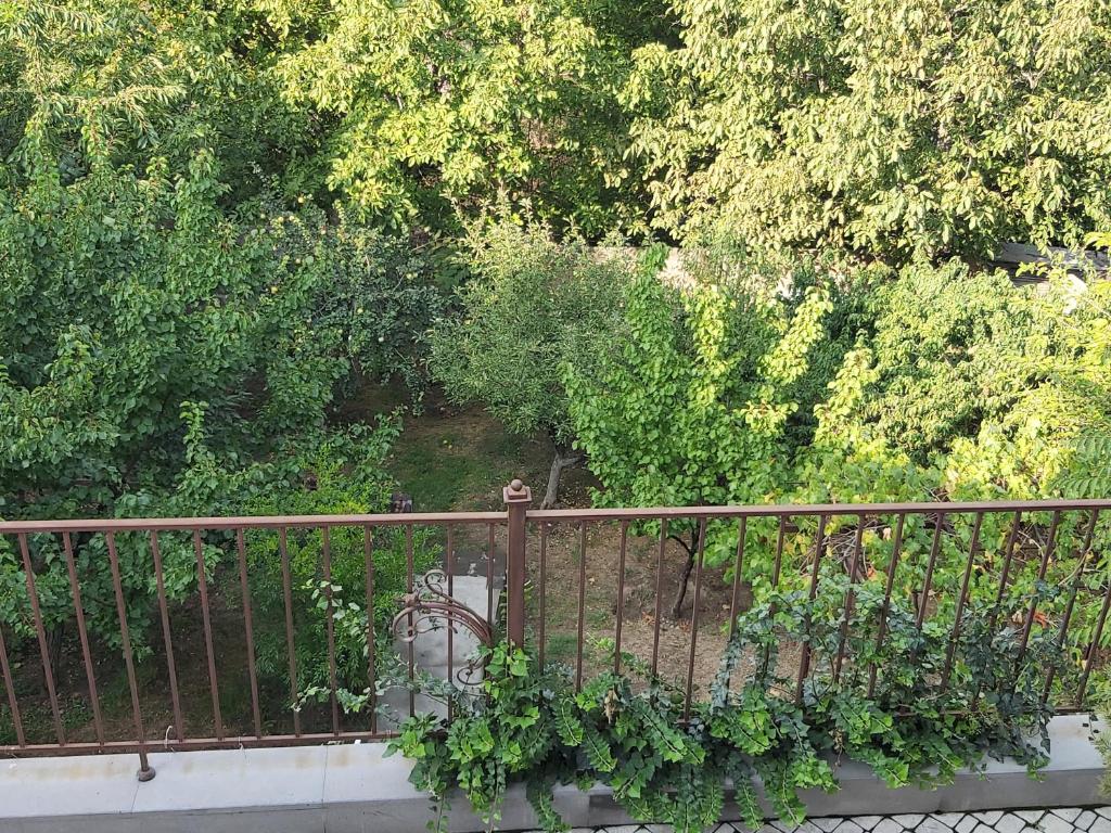 Zahrada ubytování HillTop Yerevan