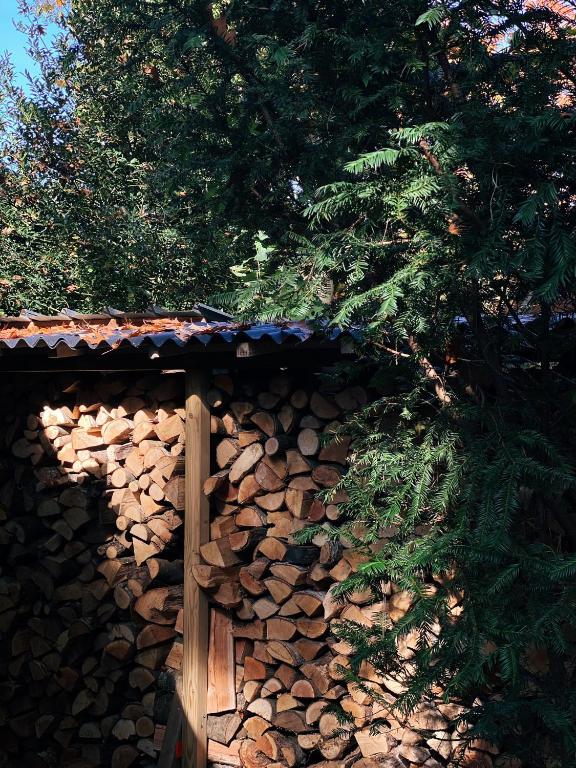 Fotografie z fotogalerie ubytování Mimi's natuurhuisje v destinaci Lanaken