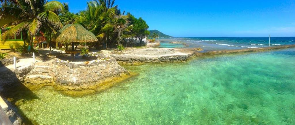 z anteny widok na plażę z palmami i ocean w obiekcie Reef House Resort w mieście Oak Ridge