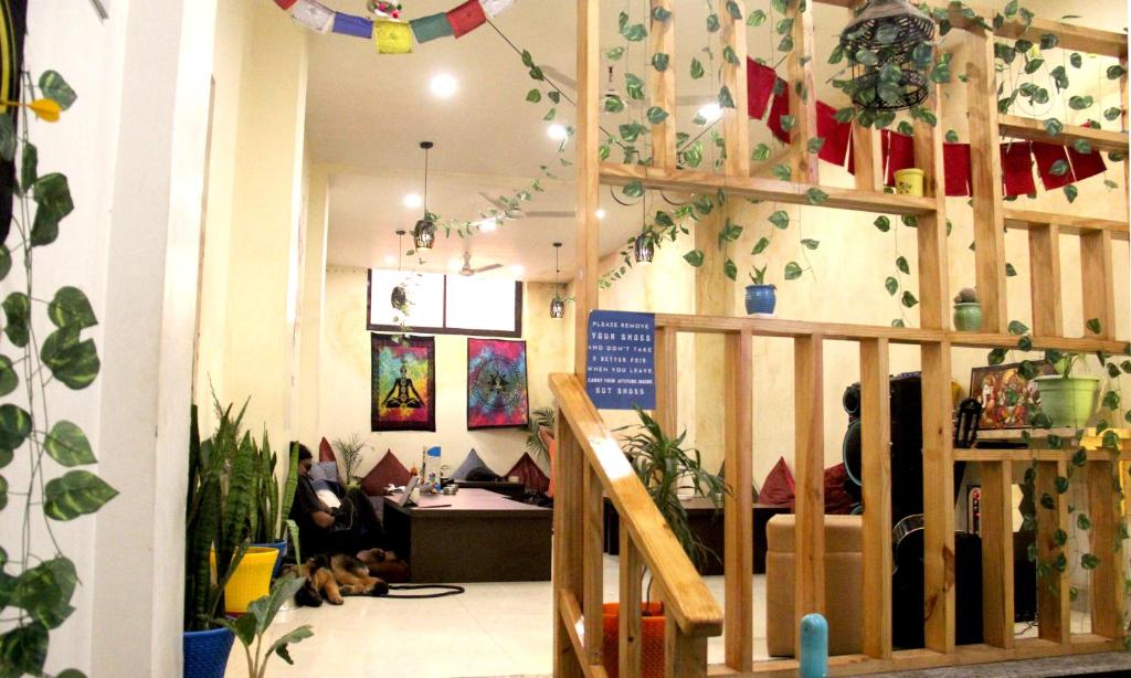 15 Pet Friendly Hotels In Rishikesh (2023) Updated Deals, Latest