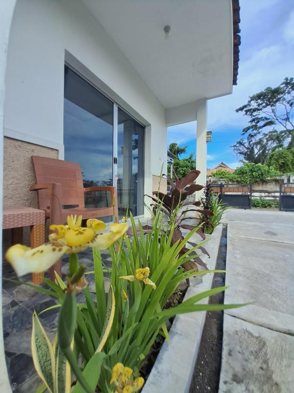 a garden with yellow flowers in front of a house at Robiu Bed & Breakfast in Banyuwangi