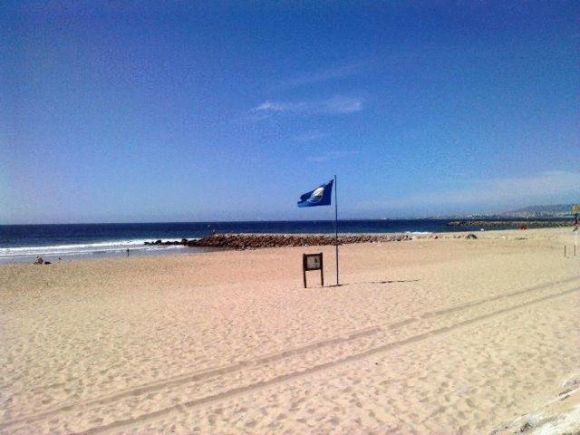 a blue flag on a beach with the ocean at Hotel Residencial Colibri in Costa da Caparica