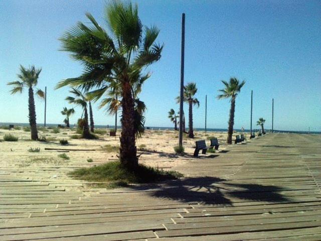 a boardwalk with palm trees on the beach at Hotel Residencial Colibri in Costa da Caparica
