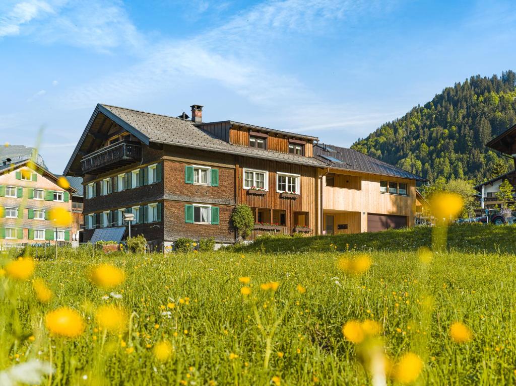 una casa en una colina con un campo de flores en Felder Apartments, en Schoppernau