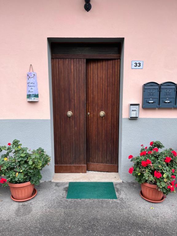 Madonna di Fornelli的住宿－Da Pino Affittacamere，两棵盆栽植物的房子的前门