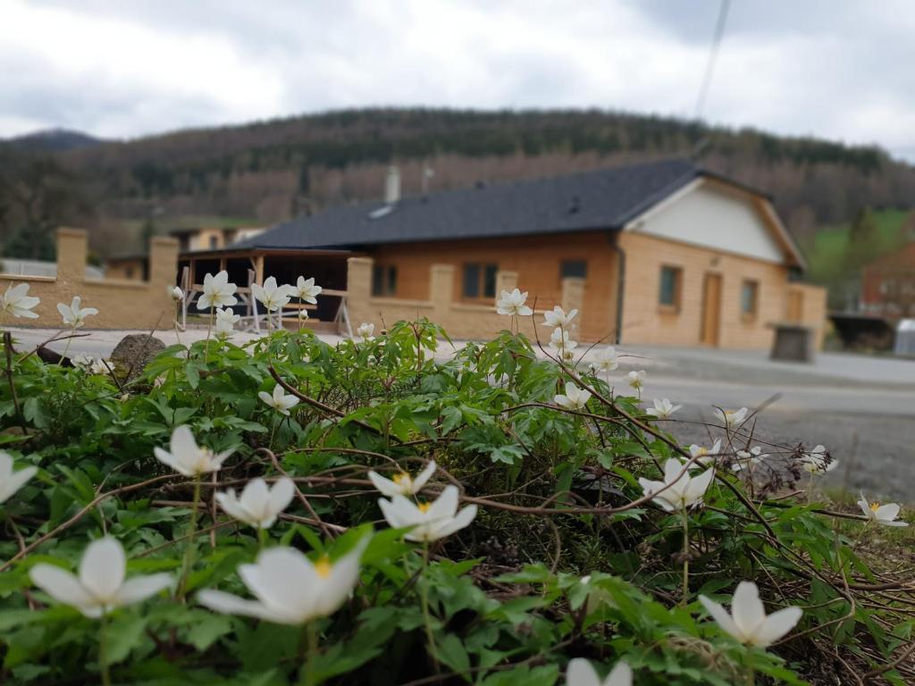 um grupo de flores brancas em frente a uma casa em ChataTrucovna, wellness,sauna, vířivka,klid,relax, em Lipova Lazne