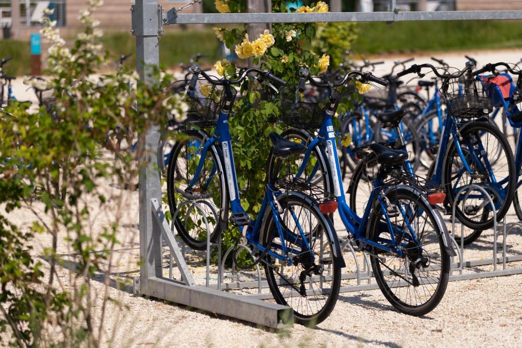 Rowery dostępne w obiekcie Marina Azzurra Resort lub w pobliżu