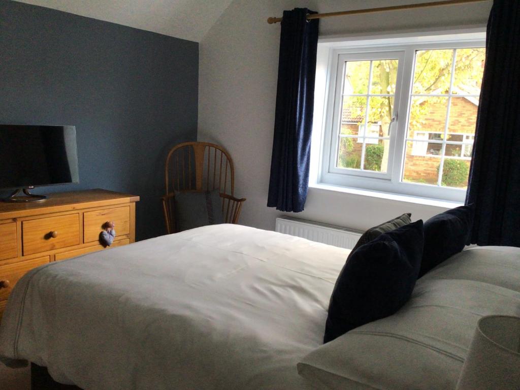 a bedroom with a bed and a tv and a window at Icthus in Willerby