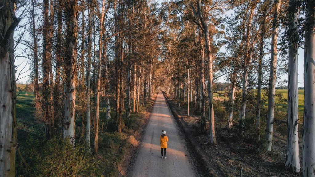 a man walking down a road through a forest at Oakhurst Farm Cottages in Wilderness