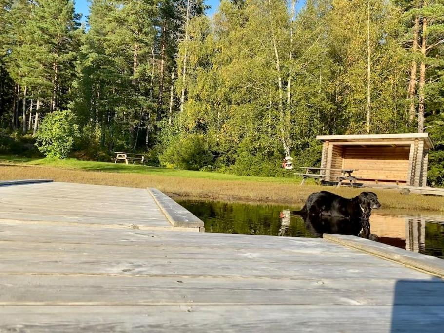 a dog standing in the water next to a dock at StugaNäraKungsberget - mysig stuga med kamin, grillkåta och vedbastu in Ockelbo