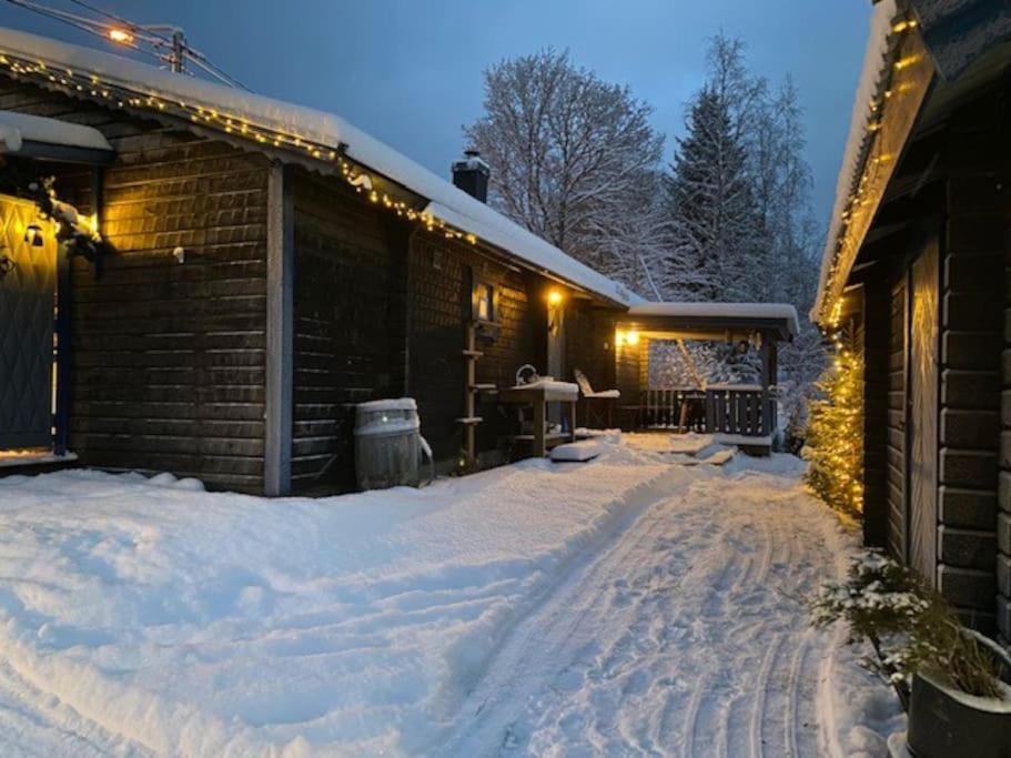 a snow covered yard next to a house with lights at StugaNäraKungsberget - mysig stuga med kamin, grillkåta och vedbastu in Ockelbo