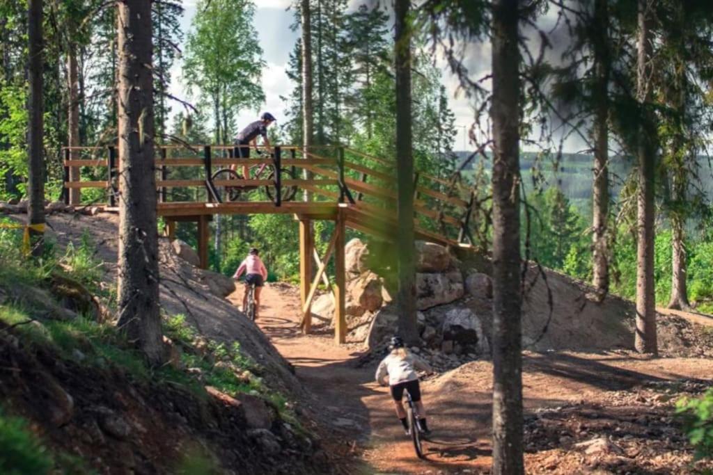 a group of people riding bikes on a bridge in the woods at StugaNäraKungsberget - mysig stuga med kamin, grillkåta och vedbastu in Ockelbo