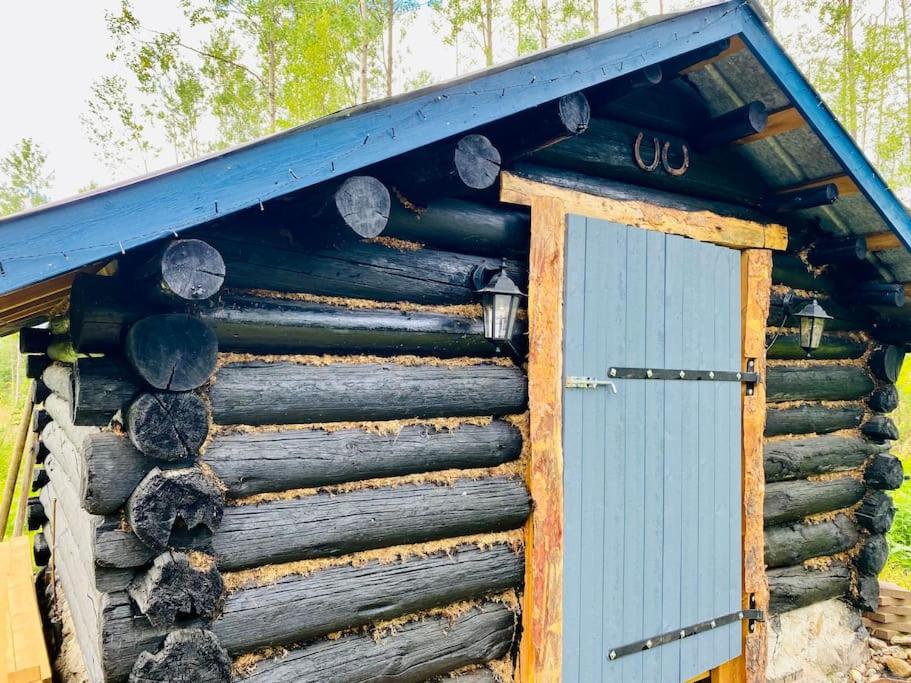 a log cabin with a blue door at StugaNäraKungsberget - mysig stuga med kamin, grillkåta och vedbastu in Ockelbo