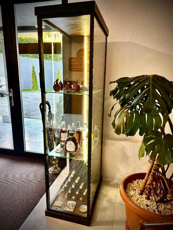 a clock in a glass case next to a potted plant at Hotel Green Town in Kutaisi