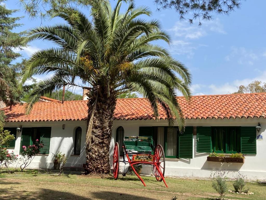 una palmera frente a una casa en La Casa de Don Pepe en Villa de Las Rosas