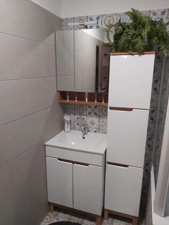 Kuchyňa alebo kuchynka v ubytovaní Fodan Apartman