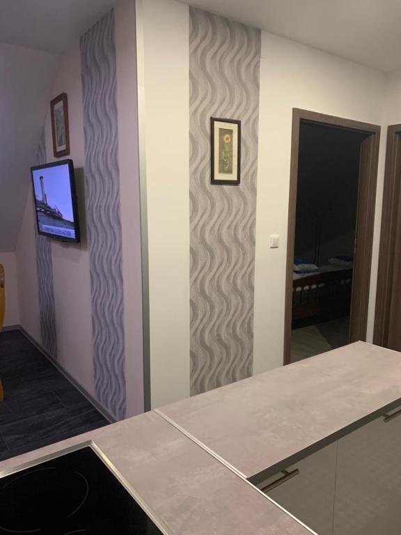 Televízia a/alebo spoločenská miestnosť v ubytovaní Fodan Apartman