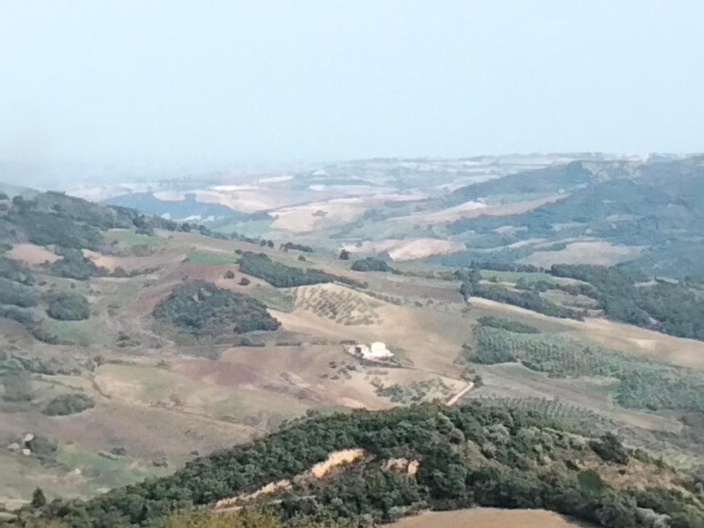 uma vista aérea de um campo com árvores em Panorama 