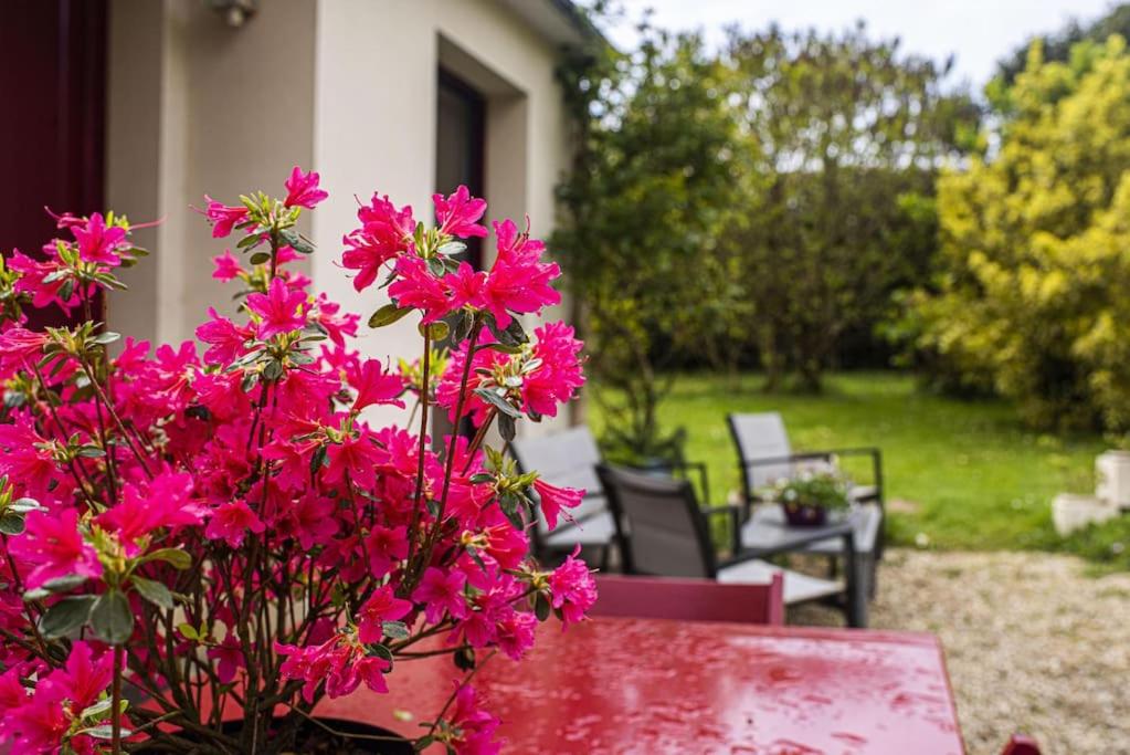 Une bande de fleurs roses assises à côté d'une table dans l'établissement Les Hortensias, Maison 8 personnes, proche mer, Le Pouldu, à Clohars-Carnoët