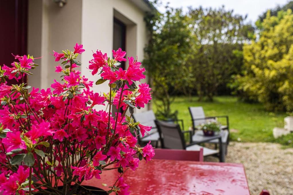 a bunch of pink flowers sitting next to a table at Les Hortensias, Maison 8 personnes, proche mer, Le Pouldu in Clohars-Carnoët