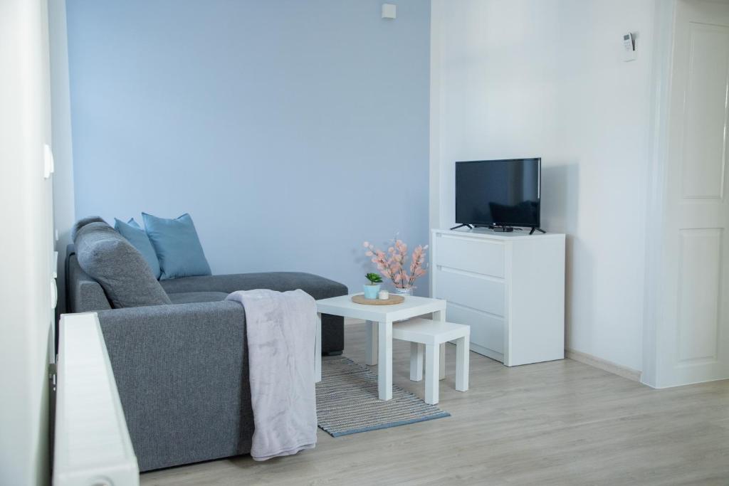 TV i/ili multimedijalni sistem u objektu Apartmani 64