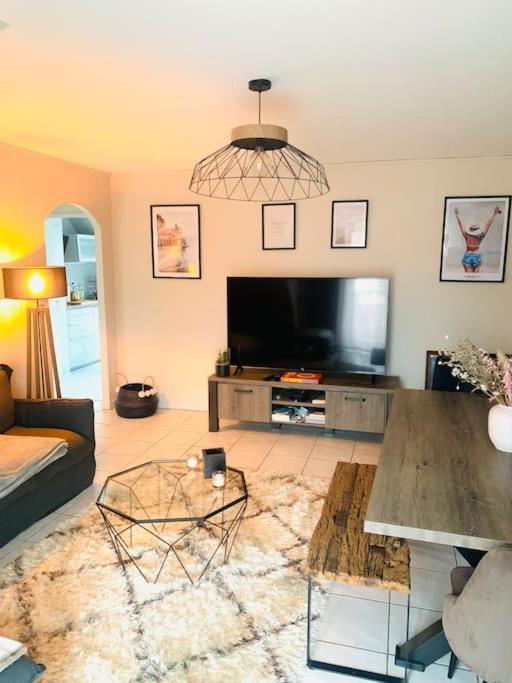 ein Wohnzimmer mit einem Sofa und einem TV in der Unterkunft Charmant appartement 2 pièces Mundolsheim in Mundolsheim