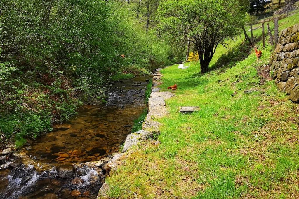 Príroda v okolí vily