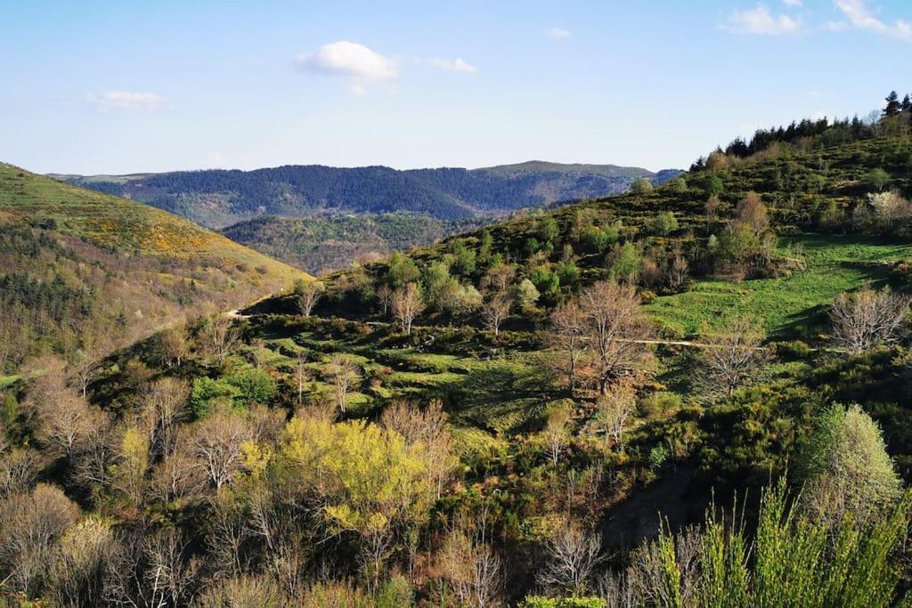 Príroda v okolí vily