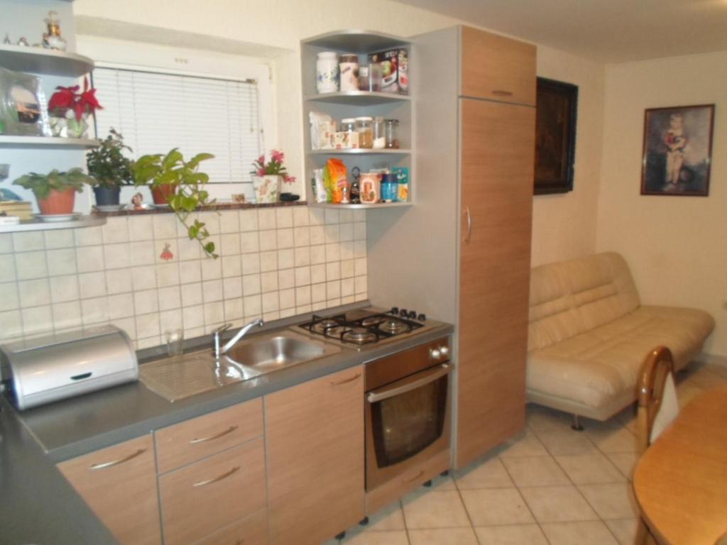 Kuchyňa alebo kuchynka v ubytovaní Apartment Matej