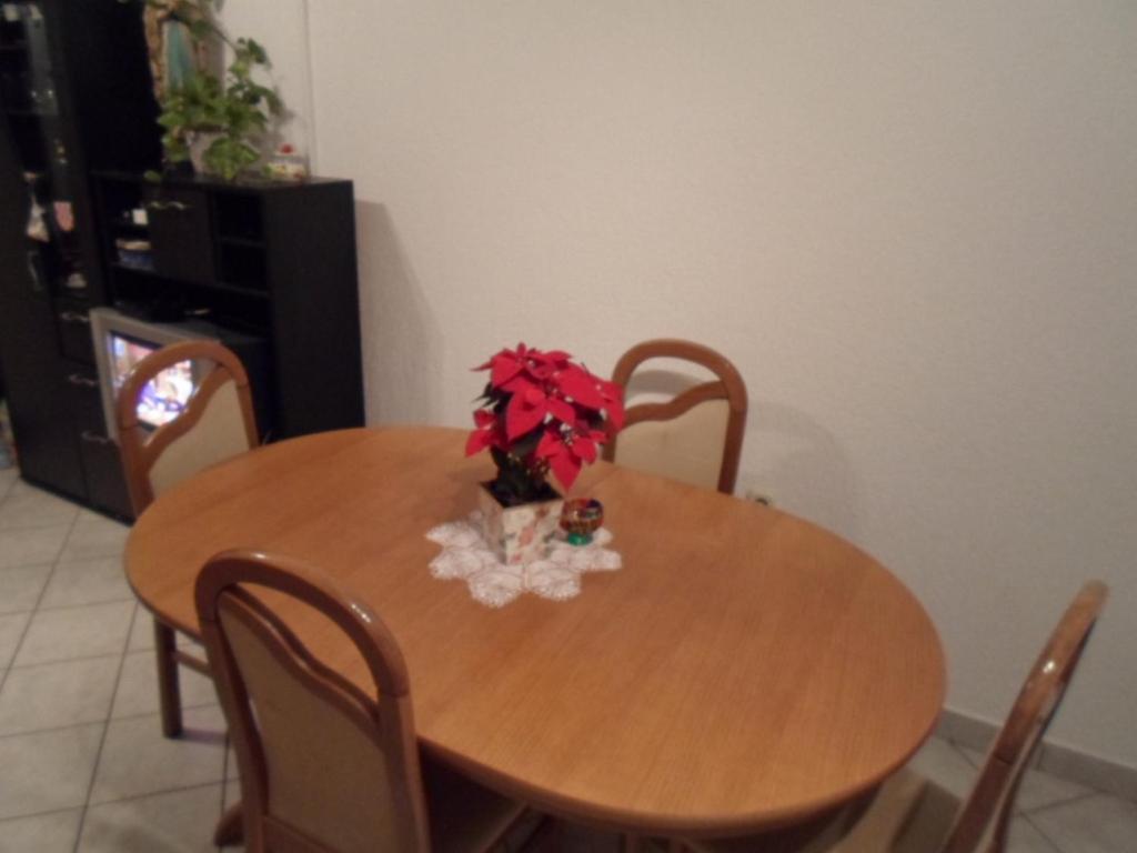 Fotografia z galérie ubytovania Apartment Matej v destinácii Senj