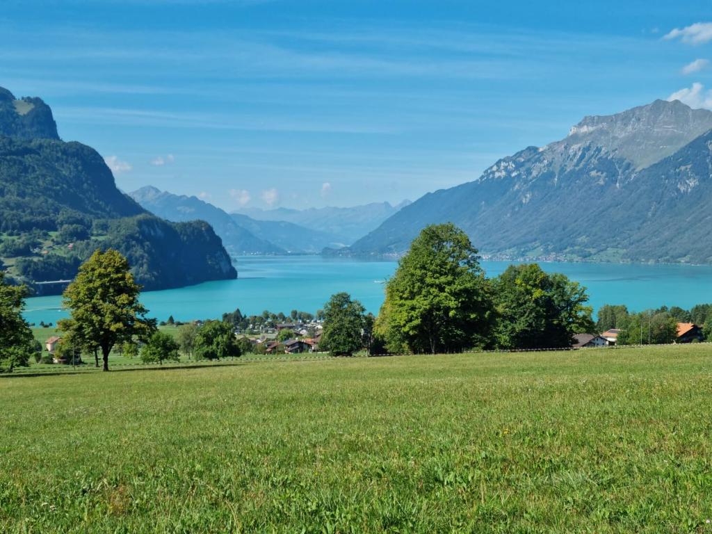 ブリエンツにあるGemütliche Ferienwohnung zwischen See und Bergenの湖山の見える畑
