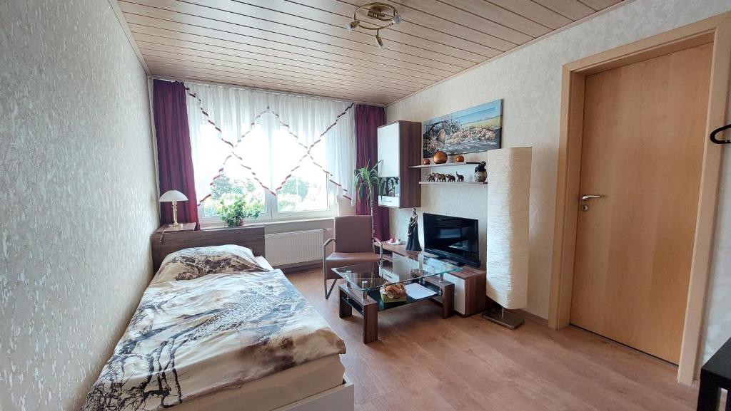 a bedroom with a bed and a television and a window at Pension Haus Germania in Erfurt