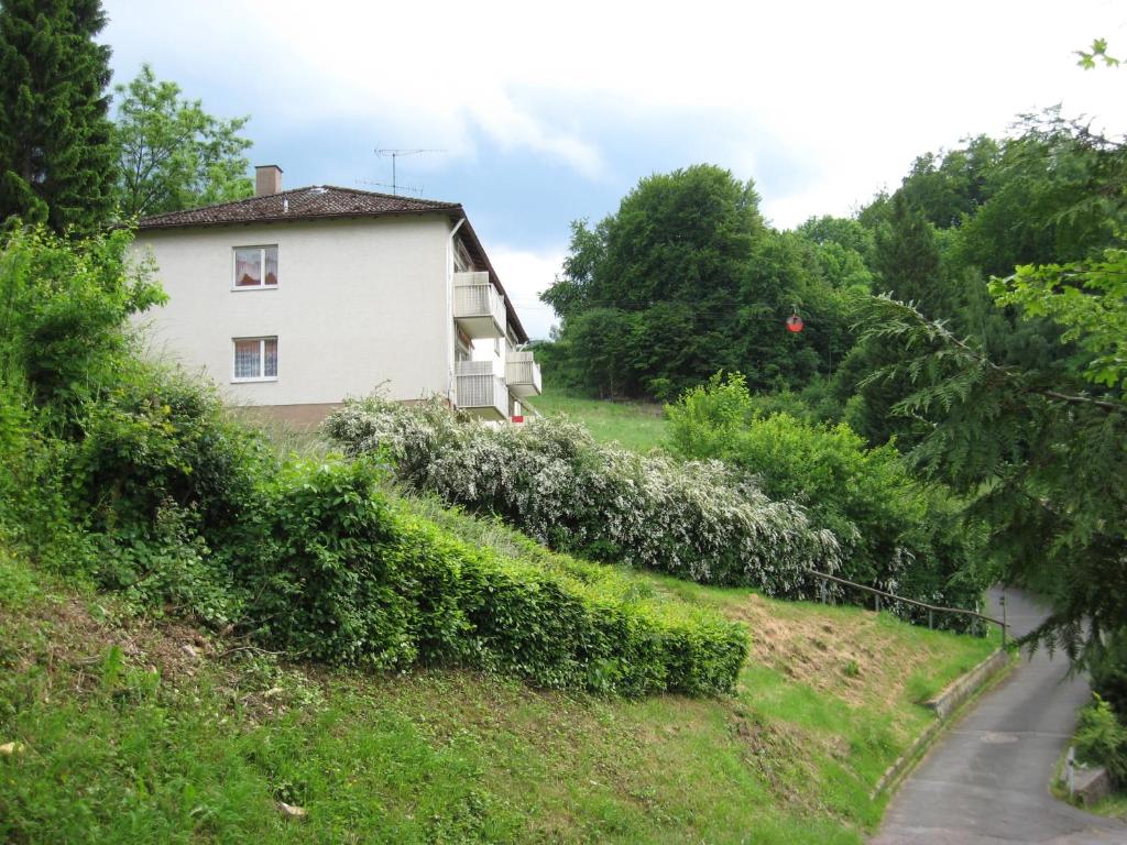 ein Haus auf einem Hügel neben einer Straße in der Unterkunft Schloßberg Ferienwohnung in Waldeck