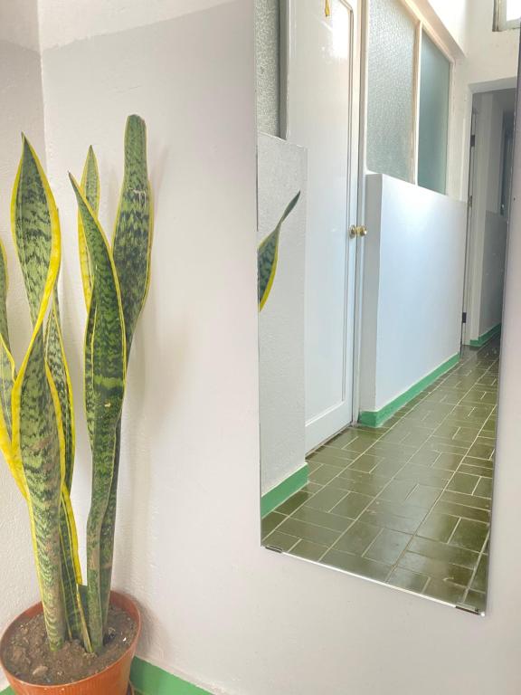 Kuchyň nebo kuchyňský kout v ubytování Best Rooms - Quarto 3 Plateau