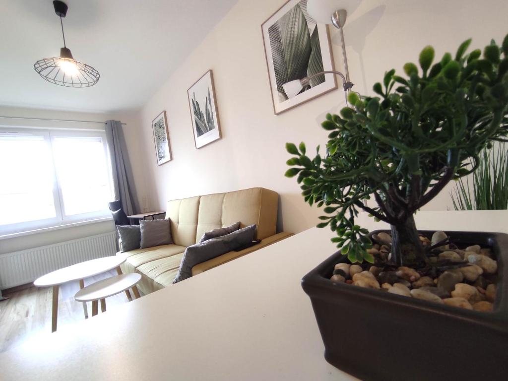 una sala de estar con una maceta sobre una mesa en ***Casablanca Apartament*** - 40m² ✓, en Rybnik