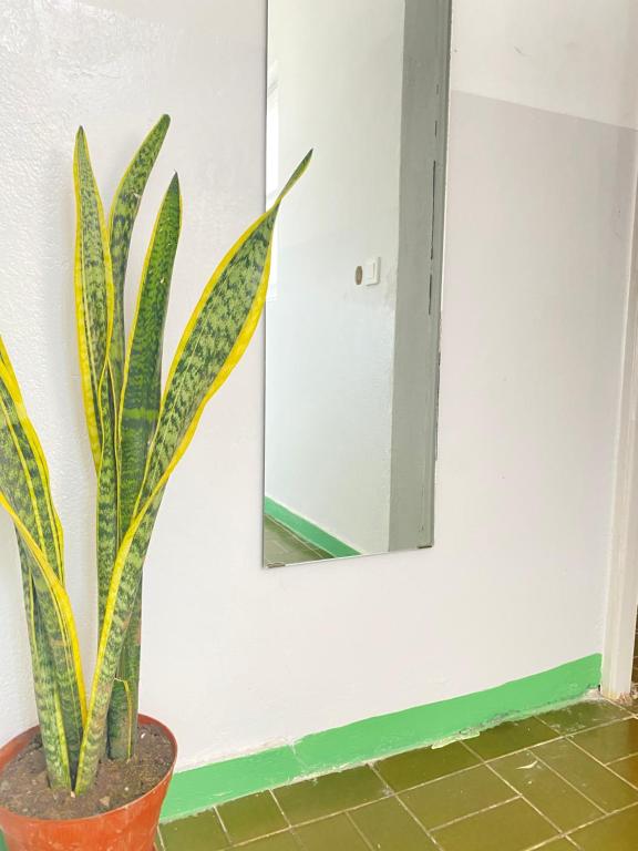 Fotografie z fotogalerie ubytování Best Rooms- Quarto 2 Plateau v destinaci Praia