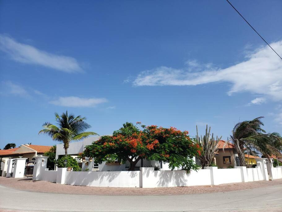 Fotografie z fotogalerie ubytování Safir Suite v destinaci Palm-Eagle Beach