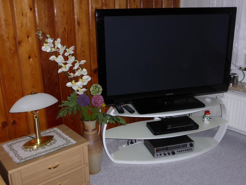 TV a/nebo společenská místnost v ubytování Ferienhaus Weber Bad Frankenhausen