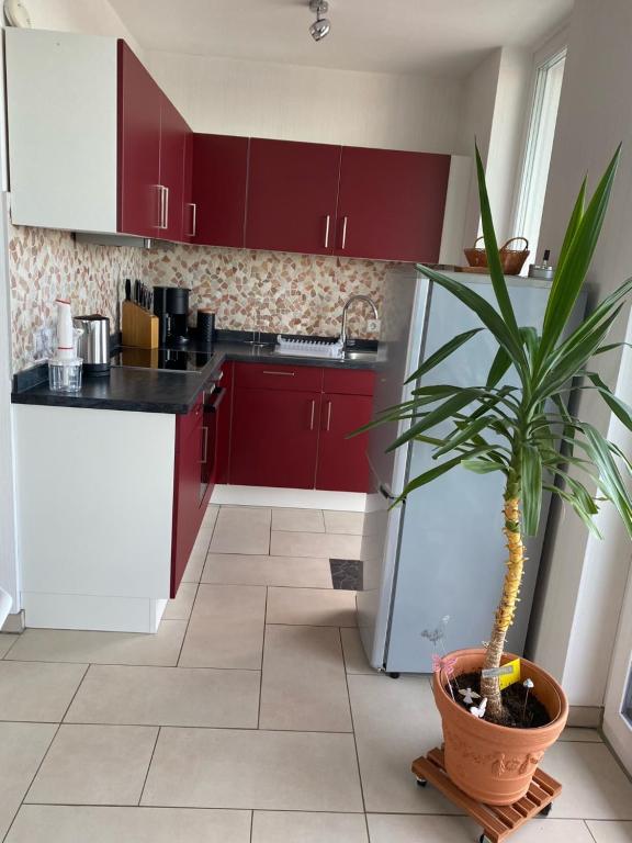 Mani´s Feriendomizil - Apartment