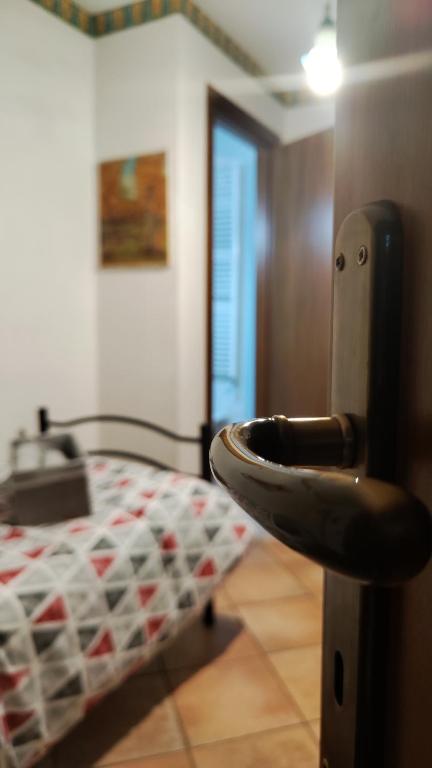 Rovere dalla riva - Error