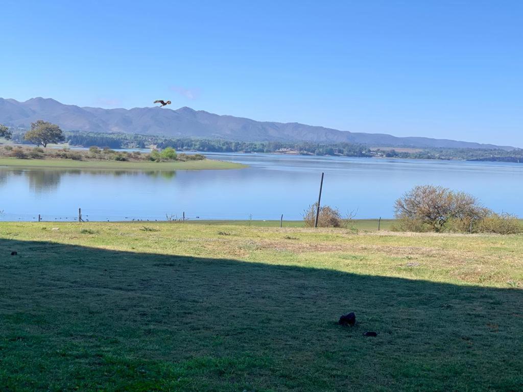 un grande specchio d'acqua con un cane in piedi nell'erba di Villa General Belgrano Lago Los Molinos a Potrero de Garay