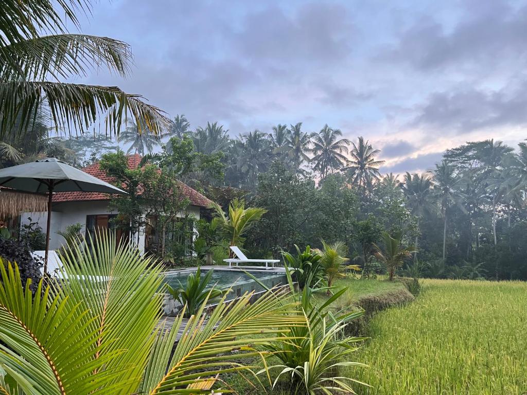 a house with a swimming pool in a field at Uma Mupu Retreat in Gianyar