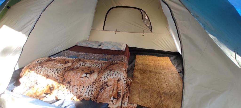 Postel nebo postele na pokoji v ubytování Espaço Cultural Lotus - Suítes, Hostel e Camping