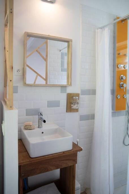 Koupelna v ubytování Studio sucrier 150m des plages orient bay