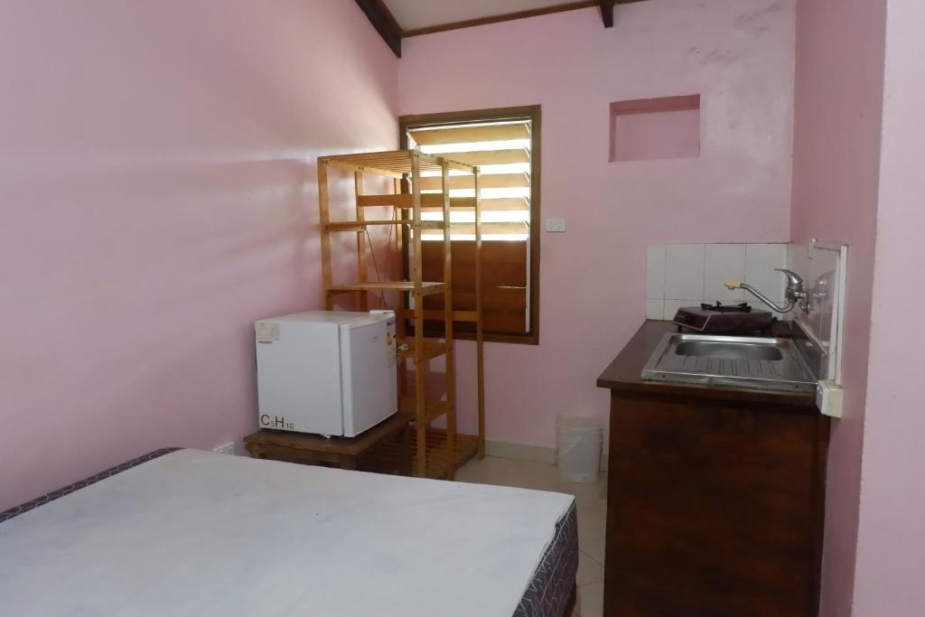 Kuchyň nebo kuchyňský kout v ubytování Bluepango Guest House